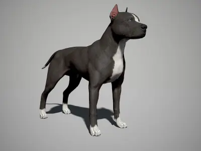 Pitbull Real-Time Low-poly 3D model