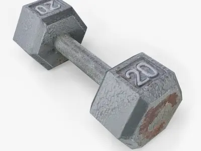 Worn 20lb Dumbbell Low-poly 3D model