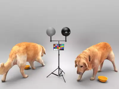 Golden retriever dog 33 Low-poly 3D model