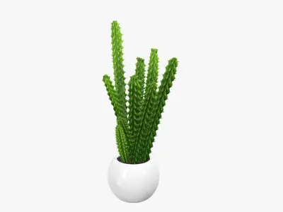 Potted plant decorative 07 3D model