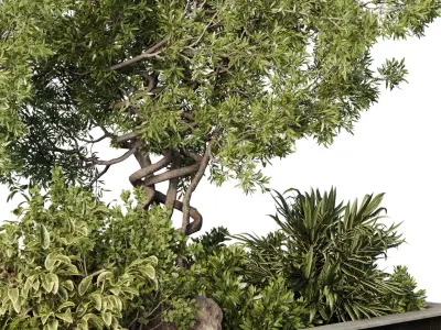 Garden plants in boxes - indoor Plants 530 3D model