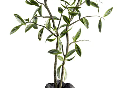 bouquet 3D model 4