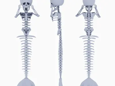 HALLOWEEN MERMAID SKELETON 3D print model