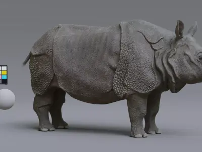 indian rhino Low-poly 3D model