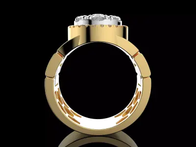 Gold N1506 3D print model