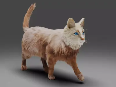 Fur Cat White Rigged in Blender Low-poly 3D model