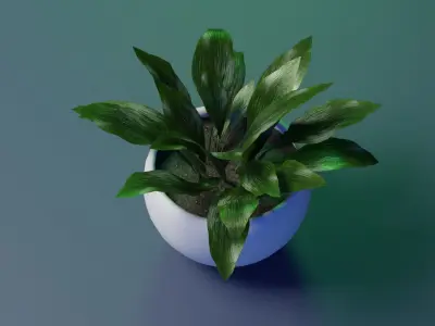 Aspidistra indoor plant PBR Ready for Unreal Engine 5 Low-poly 3D model