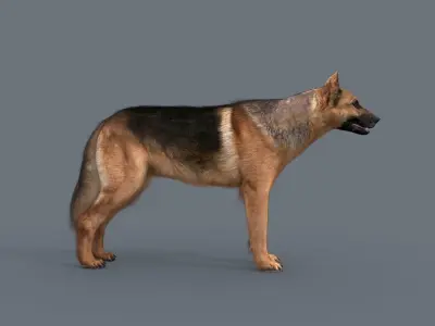 My Dog - 3d animated dog model Low-poly 3D model
