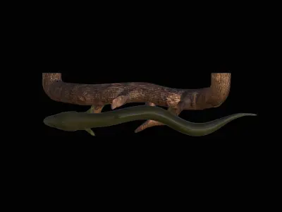 EEL UNDERWATER STATUE ON THE WALL DETAILED TEXTURE 3D print model