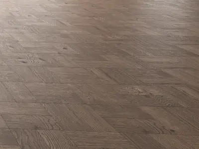 Parquet Oak Missisippi Wild Wood set 5 3D model