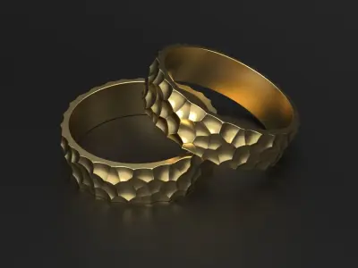 SANJ Ring 01 Free 3D print model