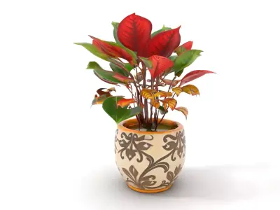 Vibrant Decorative Plant model pack Low-poly 3D model