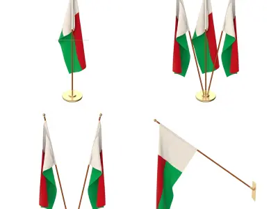 Madagascar Flag Pack 3D model