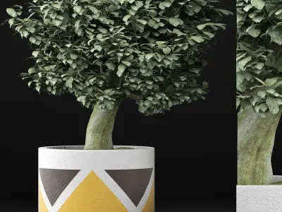 Plants Collection 121 3D model