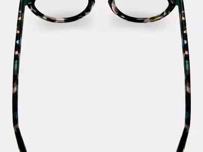 Isla Eyeglasses in Aventurine Tortoise 3D model