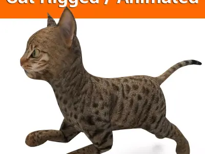 3d  Cat Animated Rigged low poly  Low-poly 3D model
