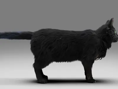 Fur Cat Black NO Rigged Low-poly 3D model
