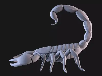 Scorpion 3D print model