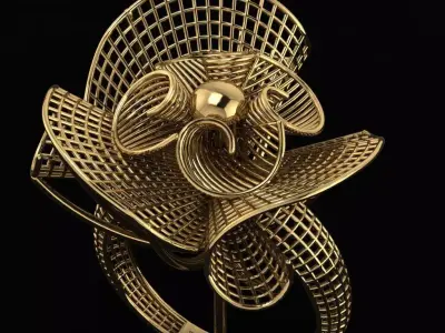  Turkish Ring 3D print model