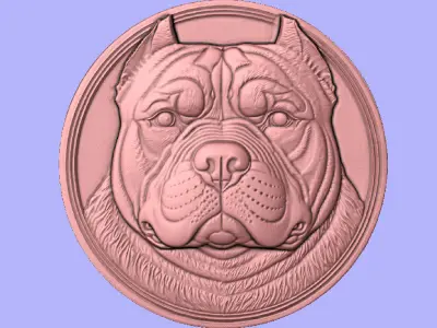 MOEDA PITBULL 3D model