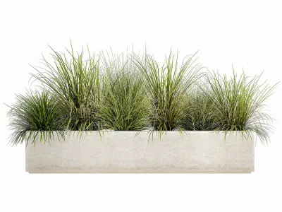 Potted reeds for landscaping 1075 3D model