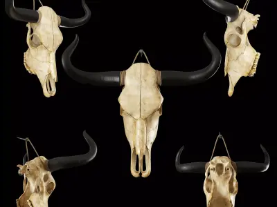 Cow skull 3D model