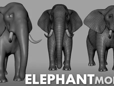 Elephant Model Low-poly 3D model