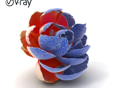 Bicolor Peony Soft Hue model pack Low-poly 3D model