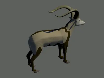 Pyrenean Ibex Low-poly 3D model