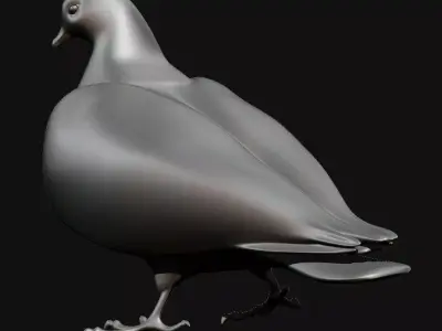 3D Pigeons 3D model