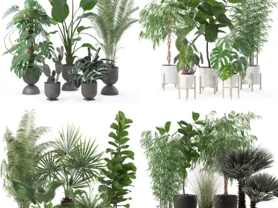 20 Photorealistic Flowers for Interiors - set 139 141 142 143 3D Model Collection