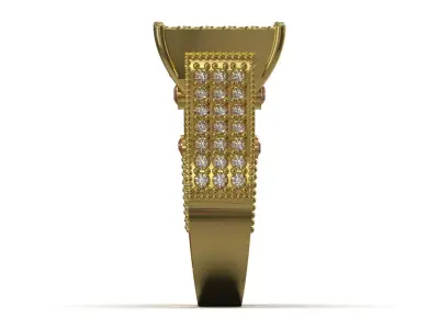 Pave Brow Champagne Diamond Signet Ring model jr00279 3D print model