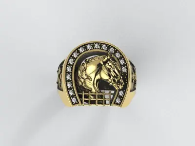 Horseshoe Ring - Anillo Herradura caballo 3D print model