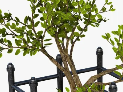 Modern Landscape Plant Green 3D model