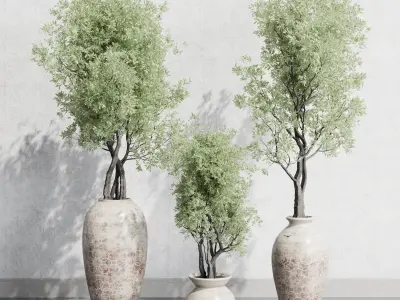 Olive tree in an old earthenware vase outdoor plant set 142 Low-poly 3D model