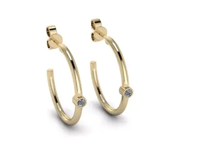 Jewelry Earrings 3D print model purchase
