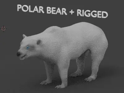 polar bear 3D model