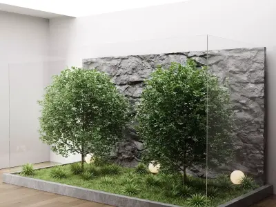 Modern Indoor Zen Garden with Glass Enclosure and Stone Wall 3D model