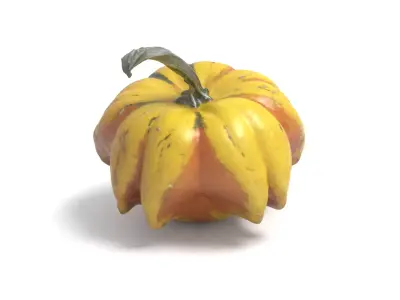 Decorative Gourd Pumpkin Squash Yellow Pepper 3D Scan 3D model