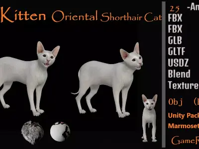 White Kitten Oriental Cat Low-poly 3D model
