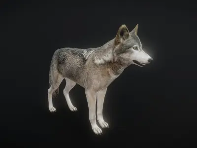 82 complete animated wolf sets Low-poly 3D model