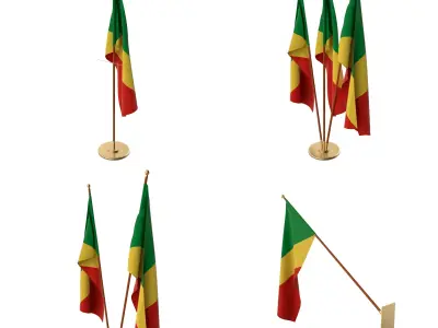 Congo Flag Pack 3D model