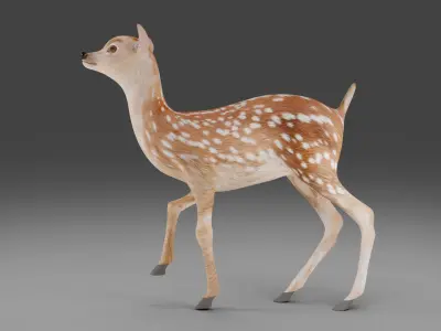 Fawn Deer Rigged V1 Low-poly 3D model