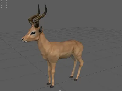 Impala antelope Low-poly 3D model