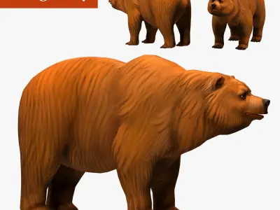 bear  rig  high-poly  textured  3D model