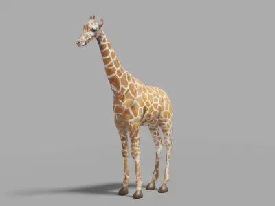 giraffe 3D model