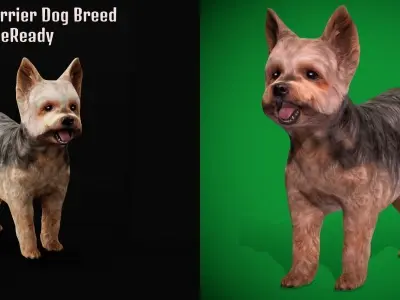 Yorkshire Terrier Dog Low-poly 3D model