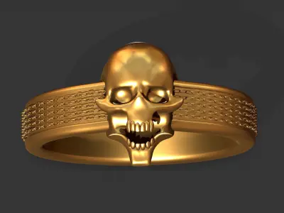 Reapers Embrace Skull Ring Exquisite Gothic Jewelry Model Free 3D print model