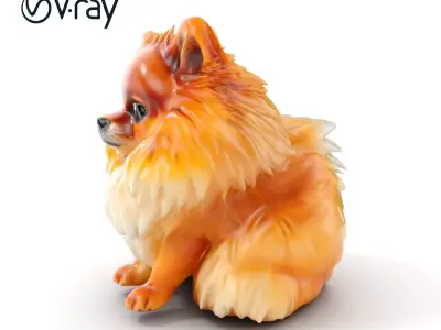Fluffy Pomeranian Dog Model Pack Low-poly 3D model
