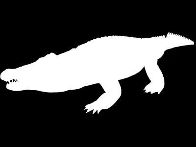 Large Nile Crocodile Rigged Low-poly 3D model